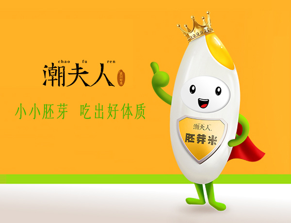 潮夫人·胚芽米品牌營(yíng)銷策劃案例