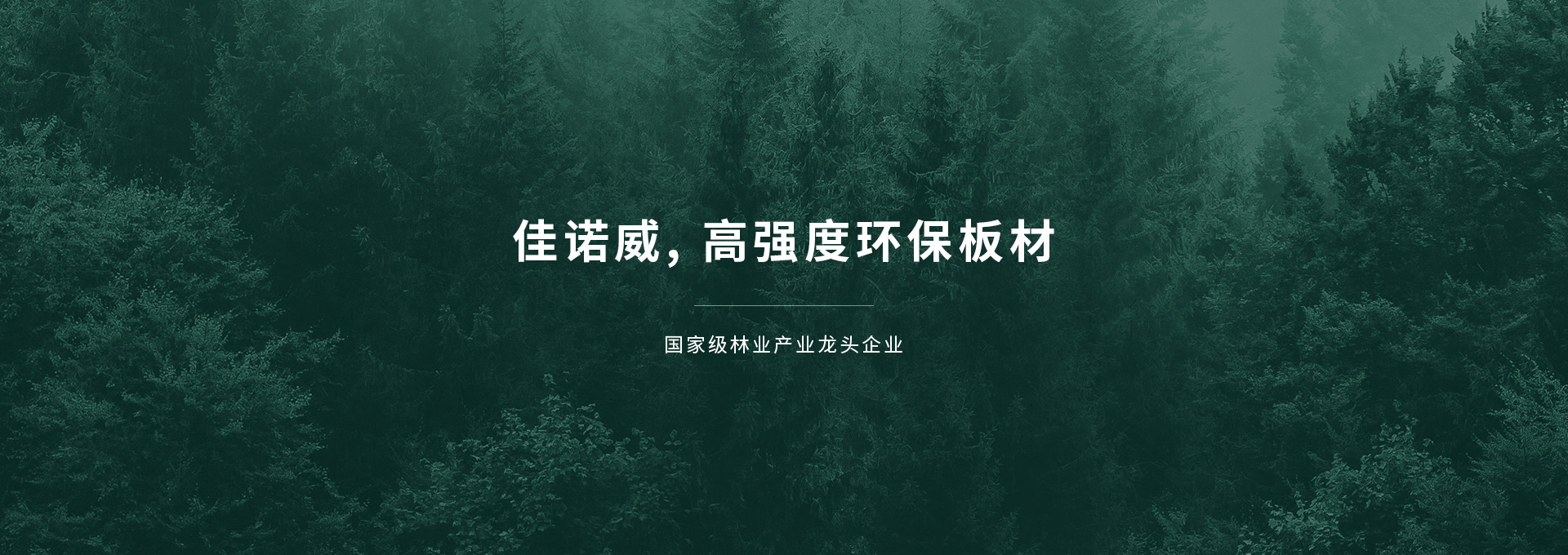 佳諾威環(huán)保板材網(wǎng)站設(shè)計(jì)