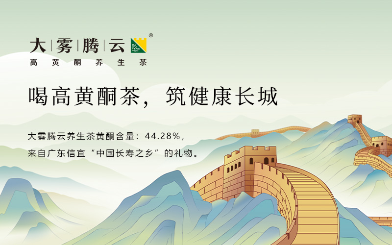 大霧騰云高黃酮養(yǎng)生茶品牌設(shè)計