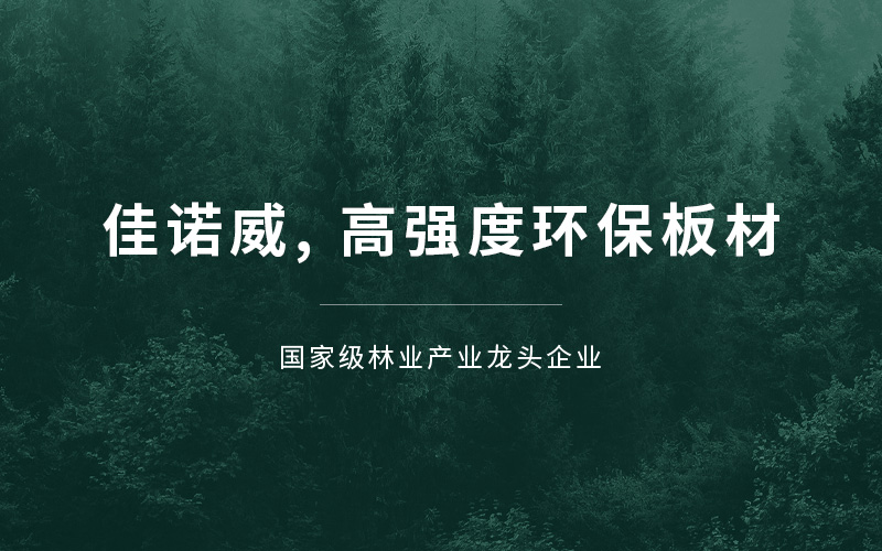 佳諾威環(huán)保板材網(wǎng)站設(shè)計(jì)