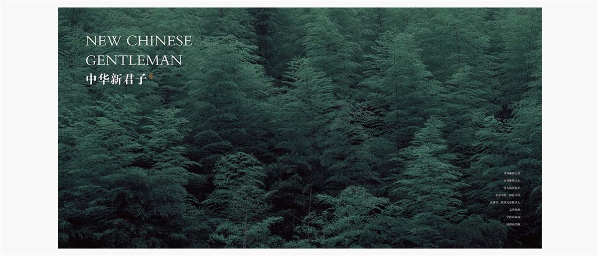 中藝大觀紅木家具品牌設(shè)計案例