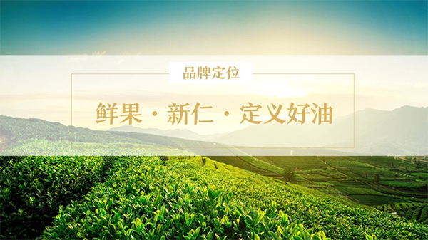 初典核桃油品牌營銷策劃案例