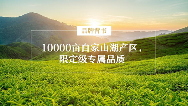 初典核桃油品牌營銷策劃案例