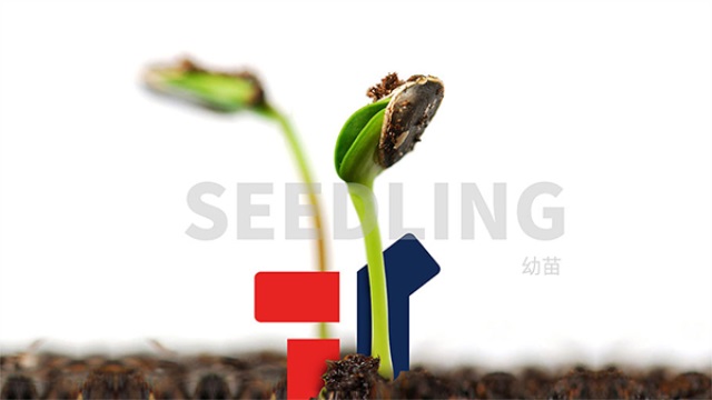 TOYI童裝品牌營銷策劃案例