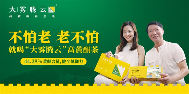 大霧騰云高黃酮養(yǎng)生茶品牌營銷策劃案例