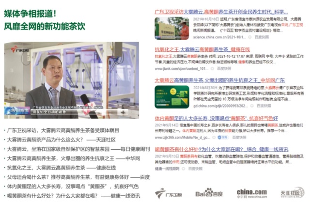 大霧騰云高黃酮養(yǎng)生茶品牌營銷策劃案例