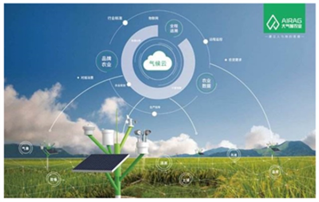 北大荒·中墾沃野大米品牌營(yíng)銷策劃案例