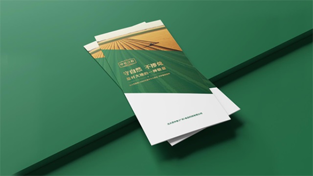 北大荒·中墾沃野大米品牌營(yíng)銷策劃案例