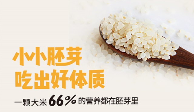 潮夫人·胚芽米品牌營銷策劃案例