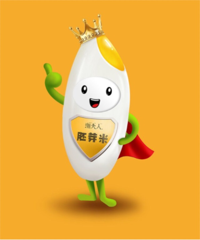 潮夫人·胚芽米品牌營銷策劃案例