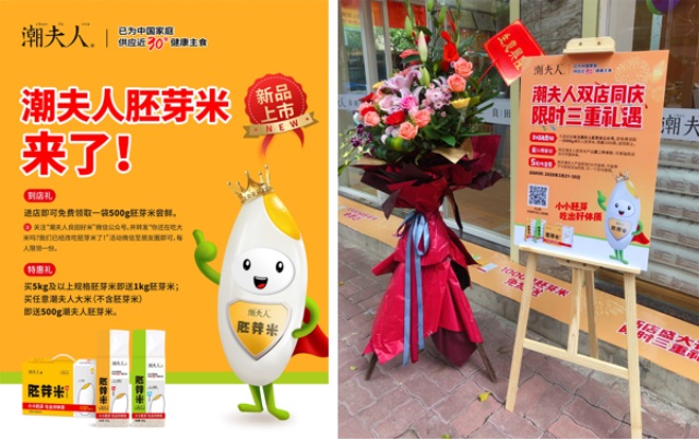 潮夫人·胚芽米品牌營銷策劃案例