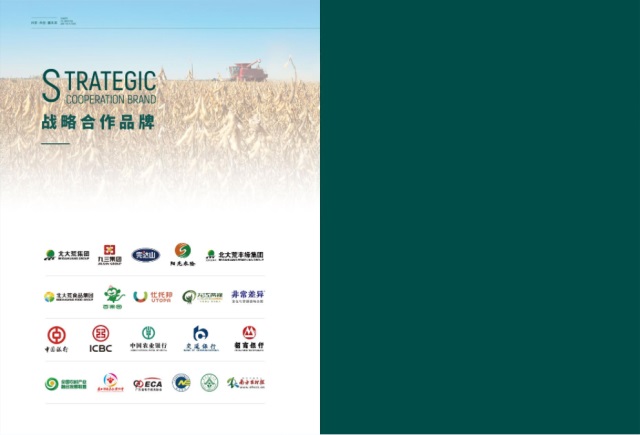 北大荒（大灣區(qū)）生態(tài)園區(qū)品牌營銷策劃案例