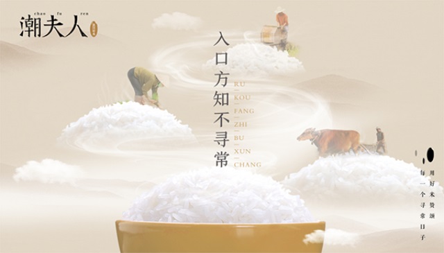 潮夫人·大米品牌營(yíng)銷(xiāo)策劃案例