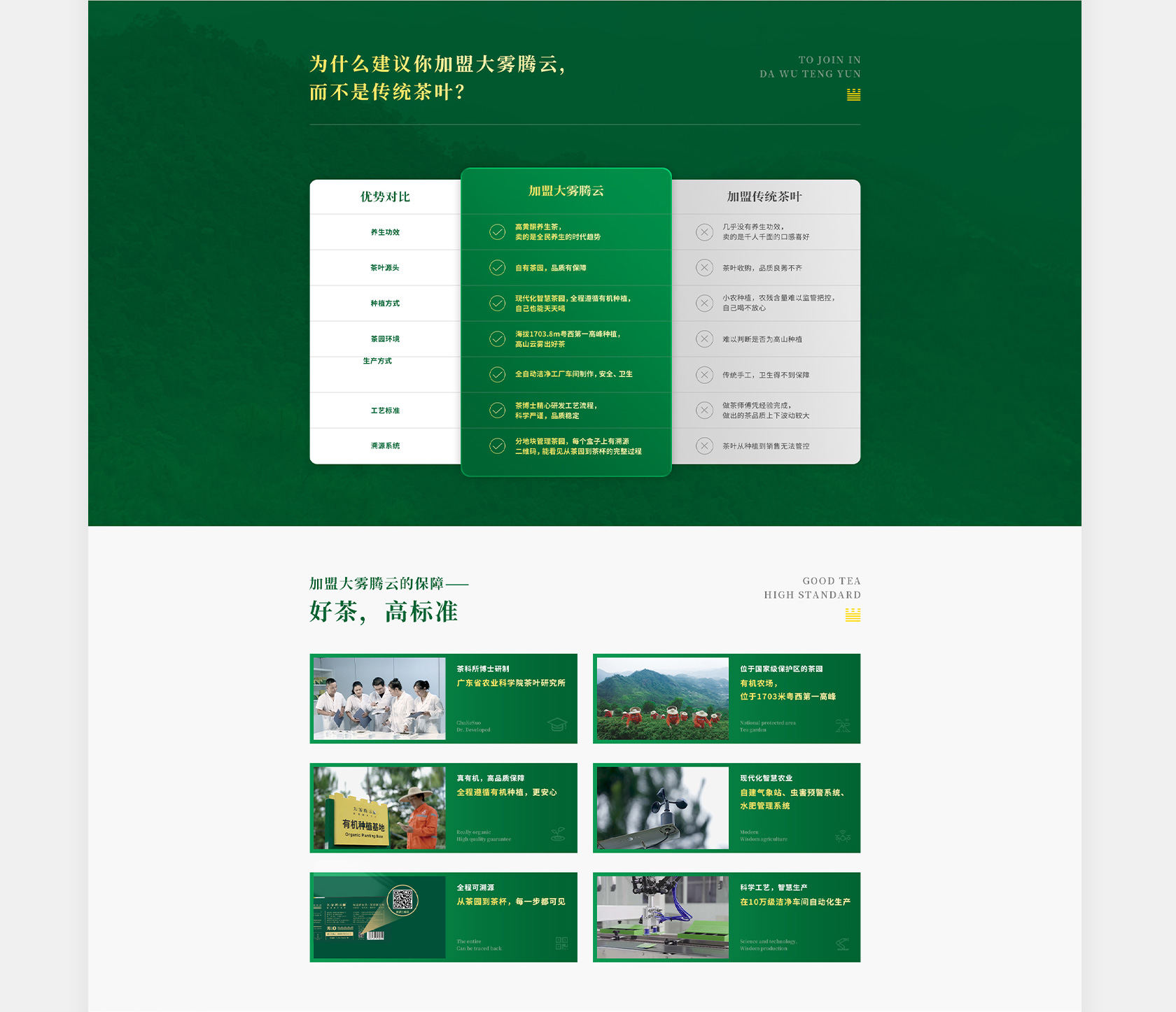 大霧騰云高黃酮茶網(wǎng)站設(shè)計