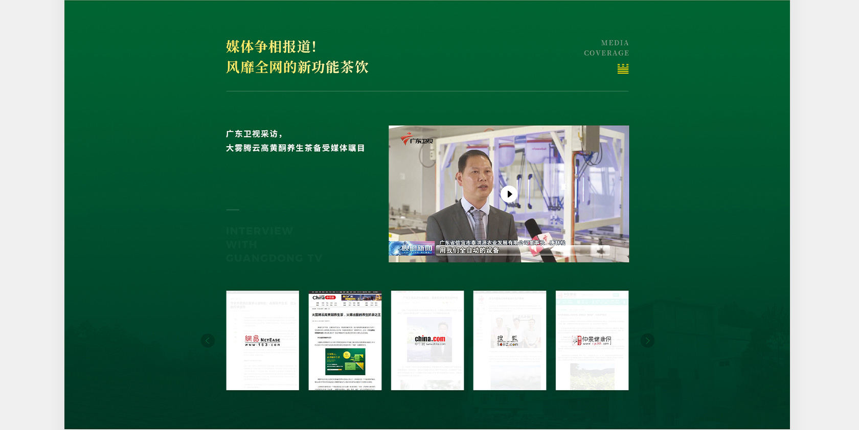 大霧騰云高黃酮茶網(wǎng)站設(shè)計