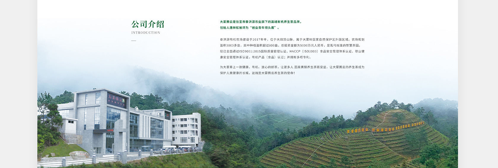 大霧騰云高黃酮茶網(wǎng)站設(shè)計