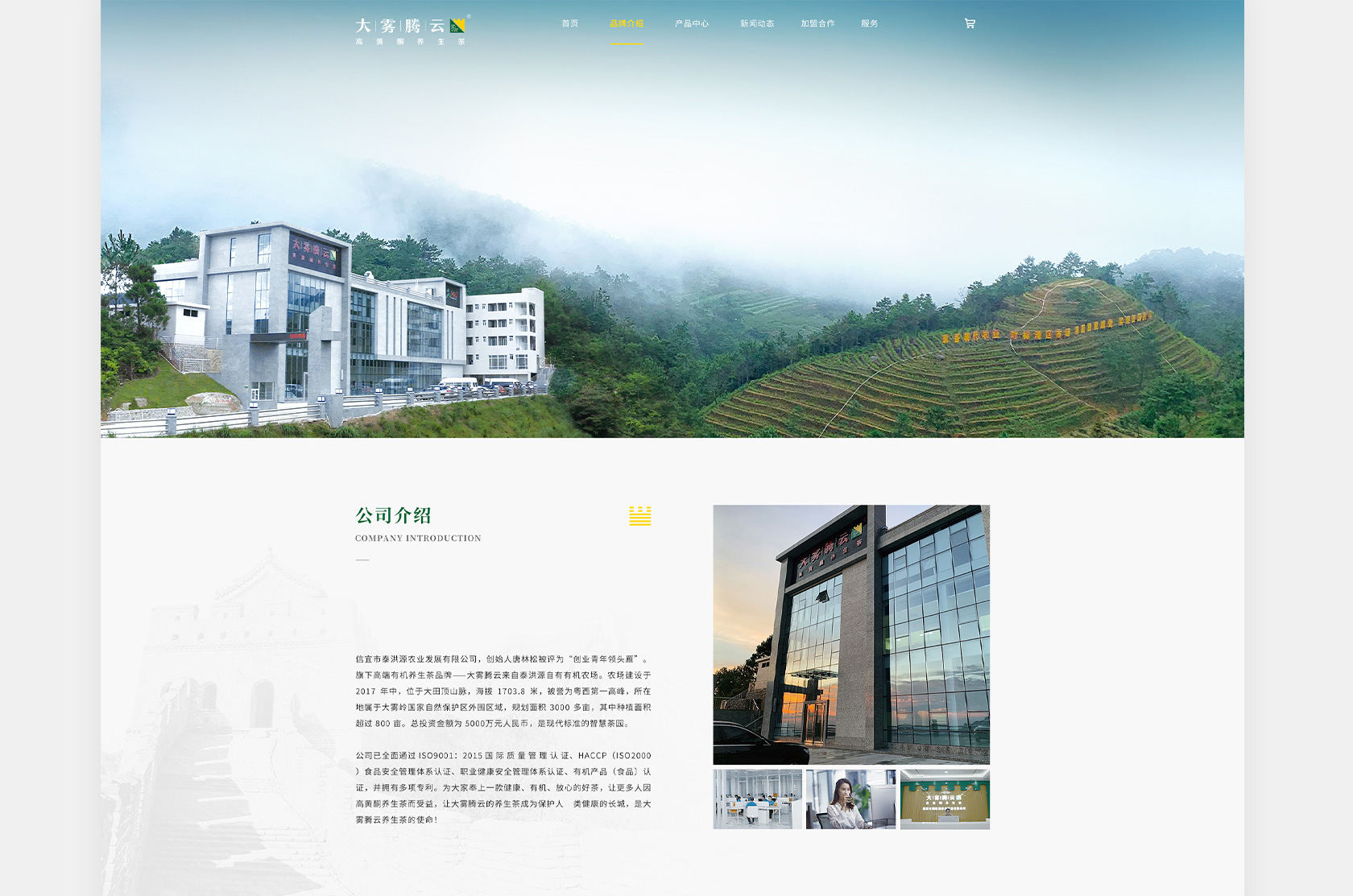 大霧騰云高黃酮茶網(wǎng)站設(shè)計