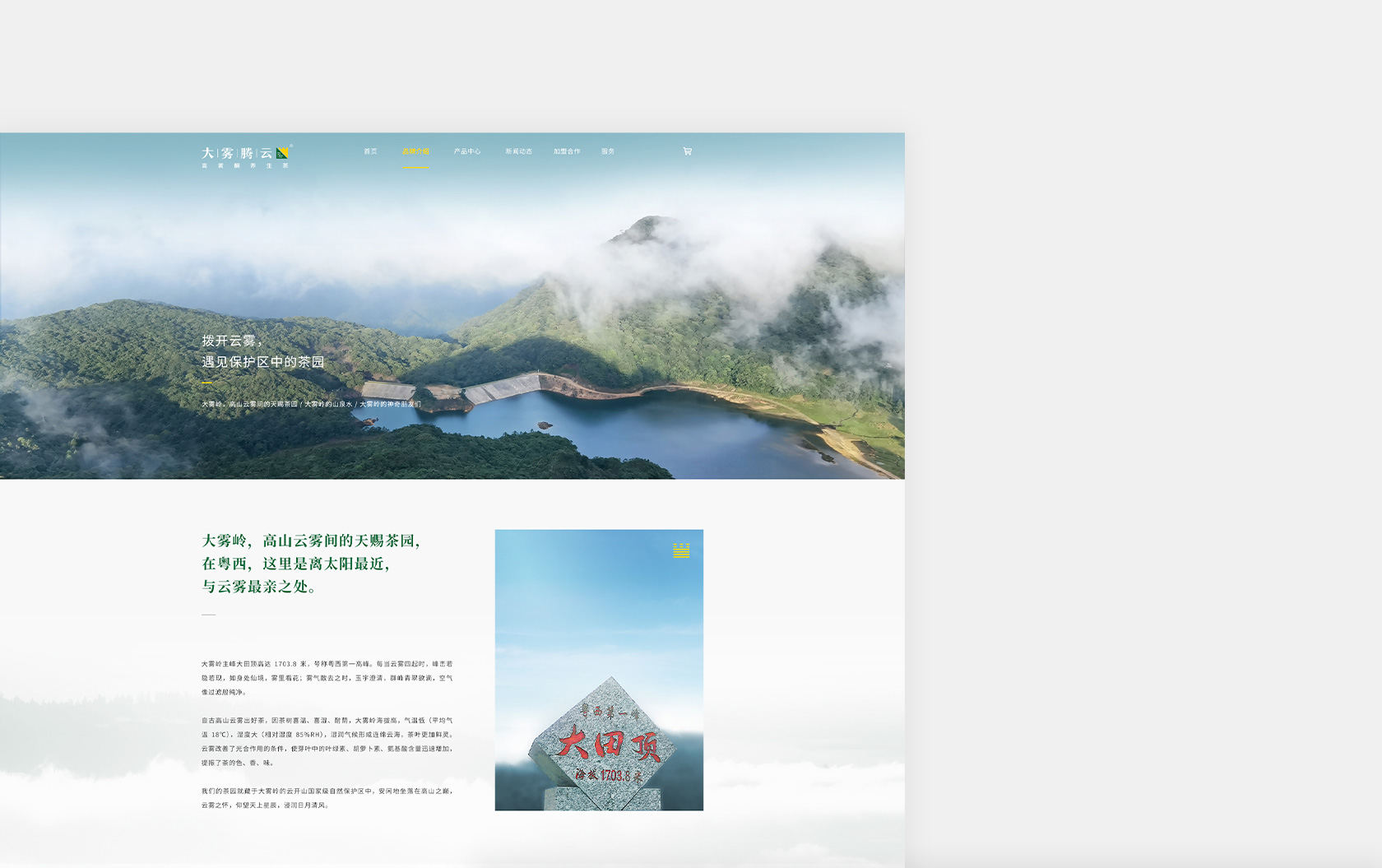 大霧騰云高黃酮茶網(wǎng)站設(shè)計