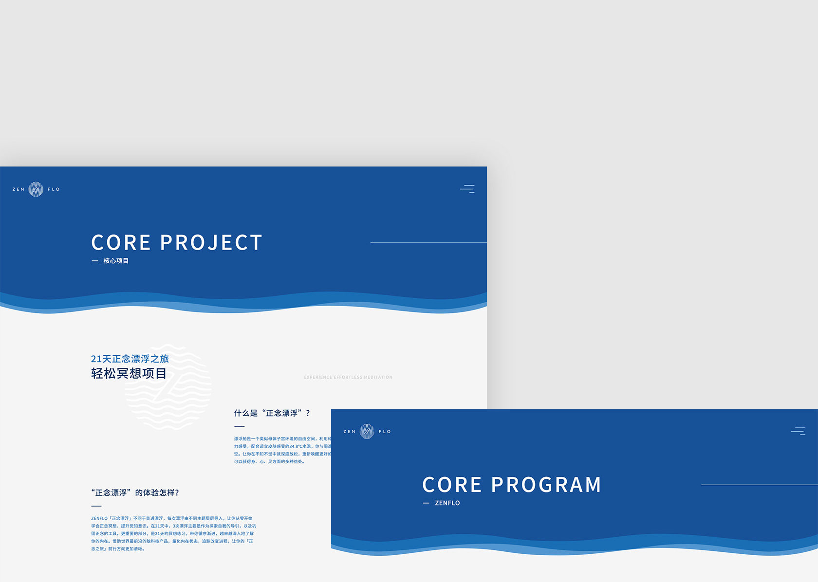 ZenFlo浮之道網(wǎng)站設(shè)計