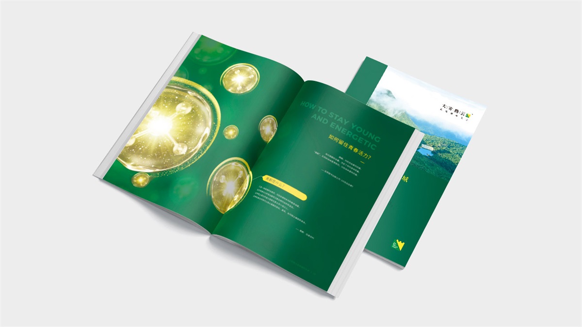 深圳品牌設(shè)計(jì)公司如何打造品牌設(shè)計(jì)優(yōu)勢(shì)