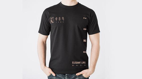 卓木鳥收納營銷策劃,卓木鳥營銷策劃,卓木鳥收納